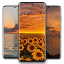 Aesthetic Sunset Wallpaper APK