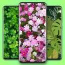 Plant Aesthetic Wallpaper APK