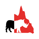 QLD Law Group APK