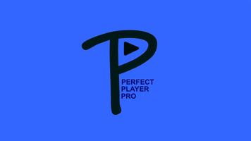 Perfect Player PRO تصوير الشاشة 1