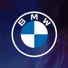 BMW Performance SG ikon