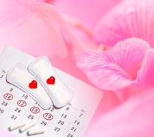 Rastreador del período Dora - Calendario menstrual captura de pantalla 3