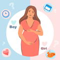 Trimester of Pregnancy Tracker