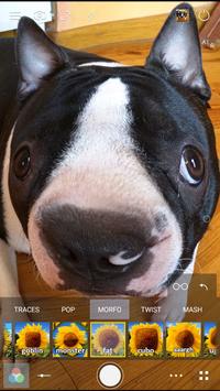 Cameringo Lite 截图 14
