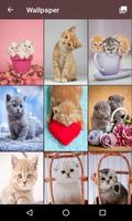 kitten Lock Screen Pattern Passcode Cute wallpaper Ekran Görüntüsü 3