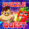 Puzzle quest