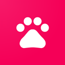 宠爱 APK