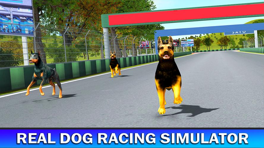Pet Dog Run Simulator Greyhound Racing Game For Android Apk Download - doge pet gamepass roblox