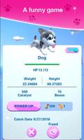 Pet Go ภาพหน้าจอ 3