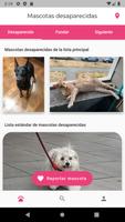 Encuentra mascotas perdidas Poster