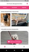 Animal de estimação perdido Cartaz
