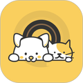 Petool