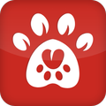 PetCity