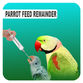 Parrot Feed Reminder icon