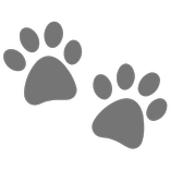 PetPal - Pet Simulator