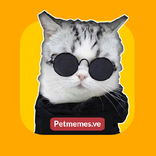 Pet Memes - Stickers