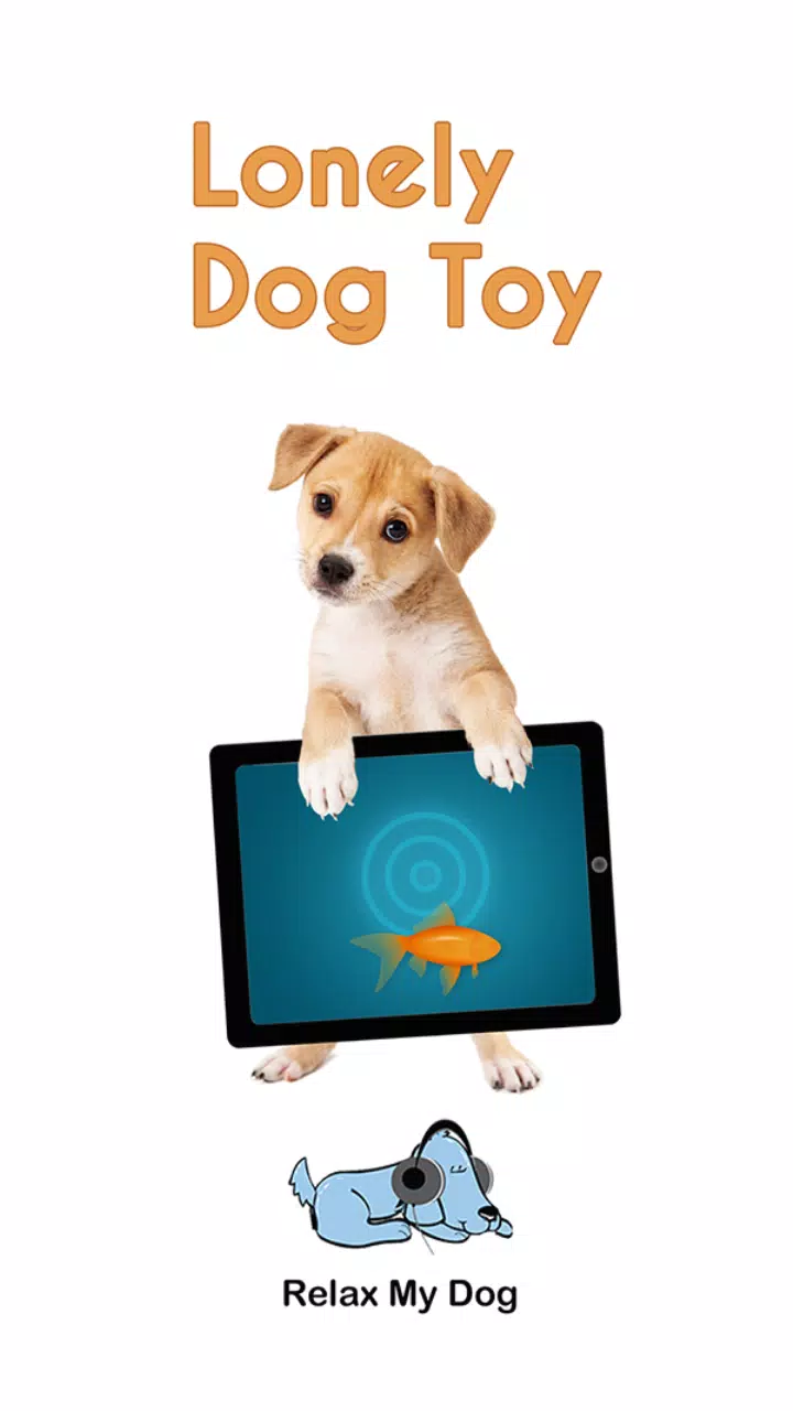 How Can I Help My Lonely Dog