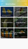Pet Birds capture d'écran 3