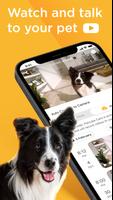 Petcube plakat