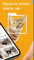 Petcube স্ক্রিনশট 1