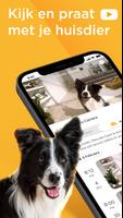 Petcube-poster