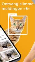 Petcube screenshot 1