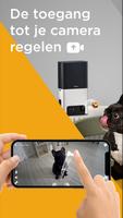 Petcube screenshot 2