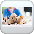 Pet Care آئیکن
