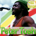 Peter Tosh Songs - Offline ikona