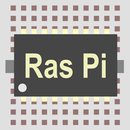Raspberry Pi Workshop APK