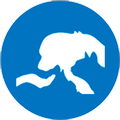 PetFeed