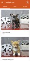 Poster Petland