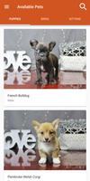 Petland Affiche