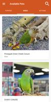 1 Schermata Petland