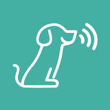 Petlink Expedidor APK