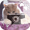 Vật Nuôi Khung Ảnh - Thú Vật Biên Tập Ảnh APK