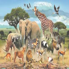 Animals Sounds app icône