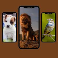 Animals Sounds app Affiche