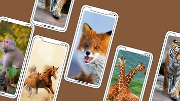 Animals Sounds app capture d'écran 1