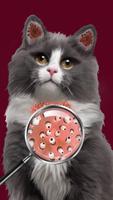 Cat Salon: Makeover ASMR screenshot 3