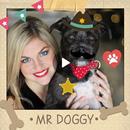 Pet video maker 😍 APK
