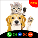 Pets Fake video call APK