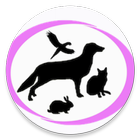 Petvet Enterprises - Admin icono