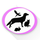 Petvet Enterprises - Sales APK