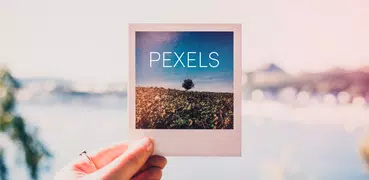 Pexels: HD+ videos & photos