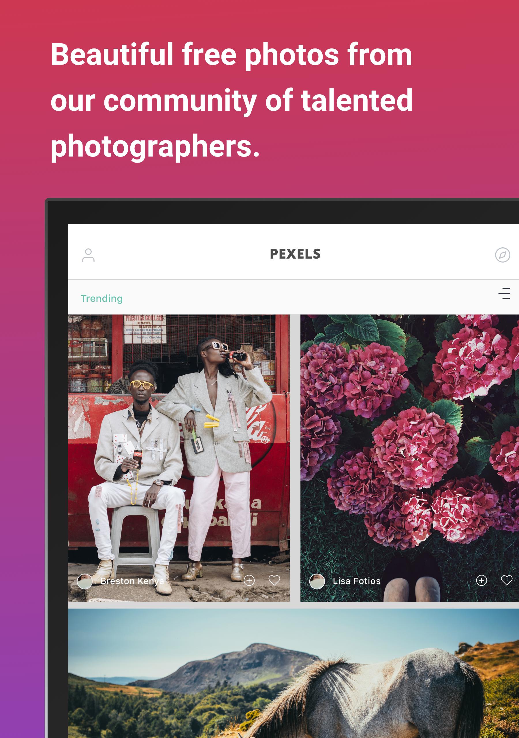 Pexels for Android APK Download Pexels for Android APK Download