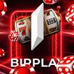 Birplay icon