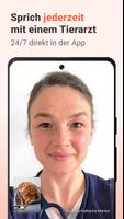Pfotendoctor Plakat