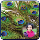 Peacock Feathers Photo Frames-APK