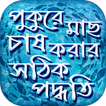 মাছ চাষ পদ্ধতি পুকুরে মাছ পালন